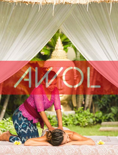 AWOL website logo