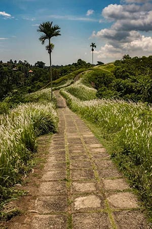 Campuhan Ridge Walk- Ubud Bali retreat