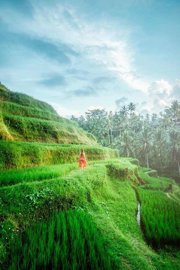 Walking Bali Bliss Retreat