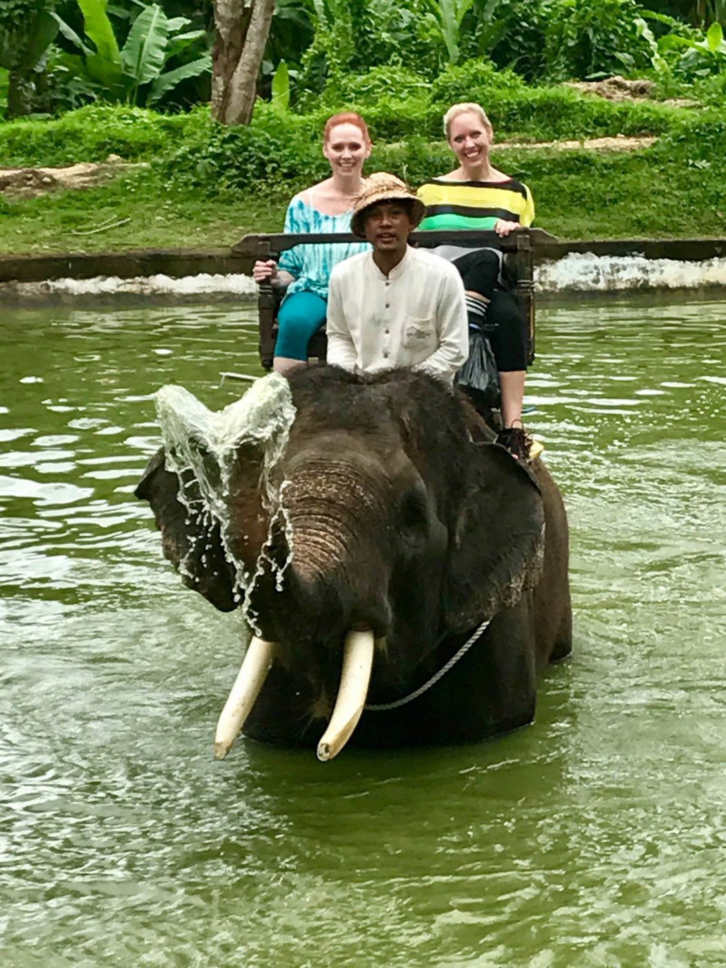 Bliss cultural package guests riding elephant